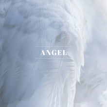 Load image into Gallery viewer, ANGEL by ORLEANS
