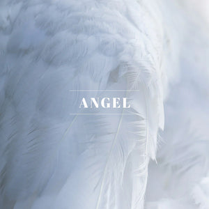ANGEL by ORLEANS